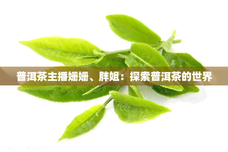 普洱茶主播姗姗、胖姐：探索普洱茶的世界