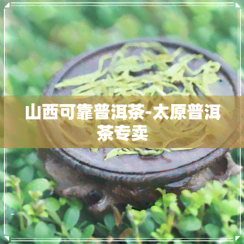 山西可靠普洱茶-太原普洱茶专卖