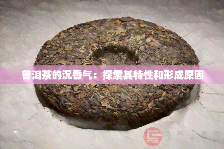 普洱茶的沉香气：探索其特性和形成原因