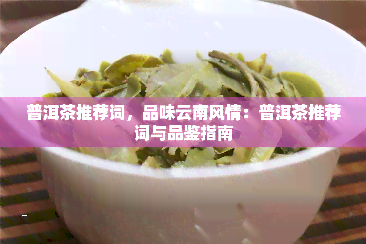 普洱茶推荐词，品味云南风情：普洱茶推荐词与品鉴指南