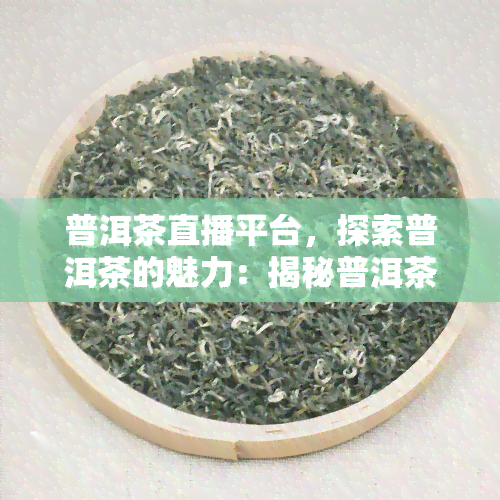 普洱茶直播平台，探索普洱茶的魅力：揭秘普洱茶直播平台的世界