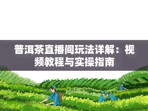 普洱茶直播间玩法详解：视频教程与实操指南