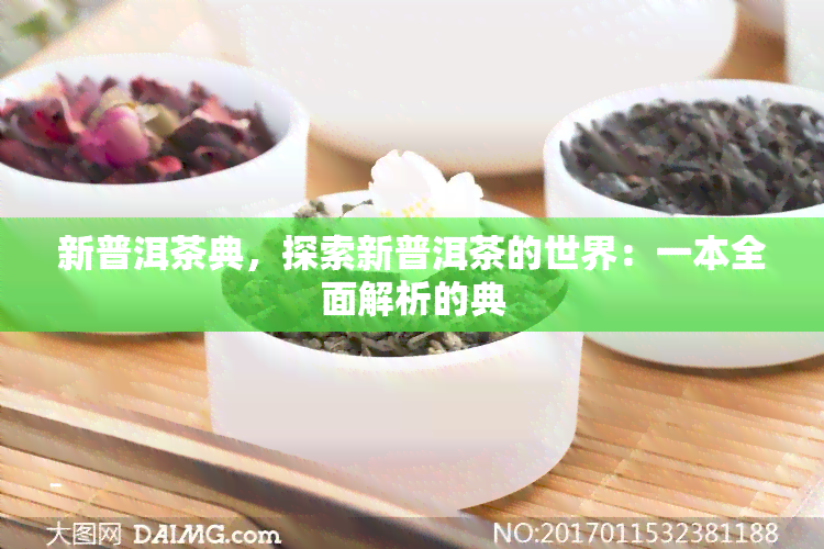 新普洱茶典，探索新普洱茶的世界：一本全面解析的典