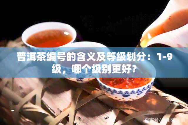 普洱茶编号的含义及等级划分：1-9级，哪个级别更好？