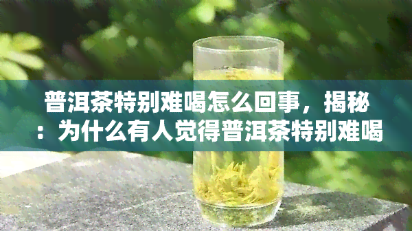 普洱茶特别难喝怎么回事，揭秘：为什么有人觉得普洱茶特别难喝？