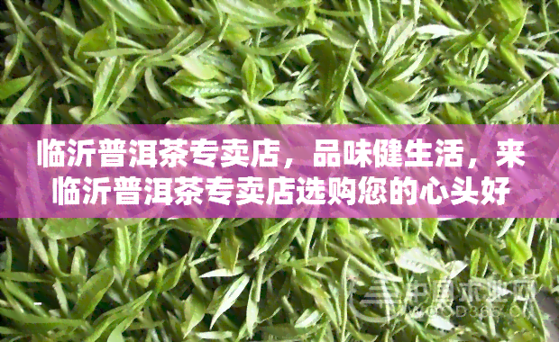 临沂普洱茶专卖店，品味健生活，来临沂普洱茶专卖店选购您的心头好！