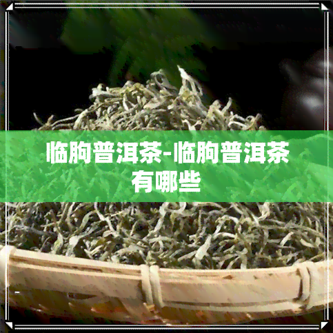 临朐普洱茶-临朐普洱茶有哪些