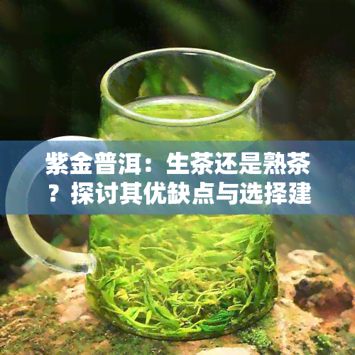 紫金普洱：生茶还是熟茶？探讨其优缺点与选择建议