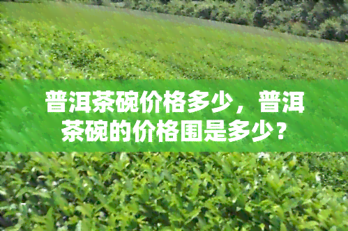 普洱茶碗价格多少，普洱茶碗的价格围是多少？