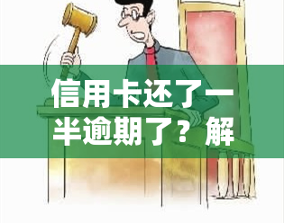 信用卡还了一半逾期了？解决方案在此！