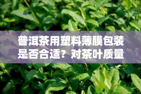 普洱茶用塑料薄膜包装是否合适？对茶叶质量和保质期有何影响？