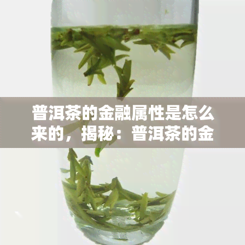 普洱茶的金融属性是怎么来的，揭秘：普洱茶的金融属性缘何而生？