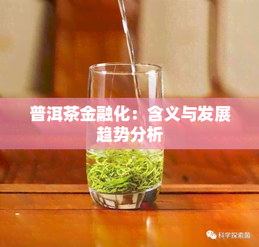 普洱茶金融化：含义与发展趋势分析