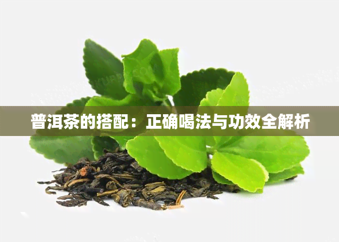 普洱茶的搭配：正确喝法与功效全解析