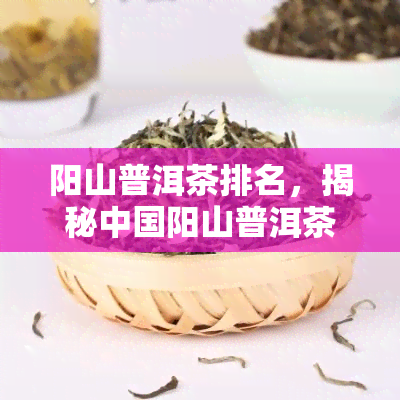 阳山普洱茶排名，揭秘中国阳山普洱茶排行榜，哪一款更值得购买？