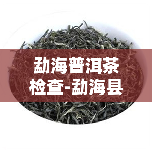 勐海普洱茶检查-勐海县普洱茶