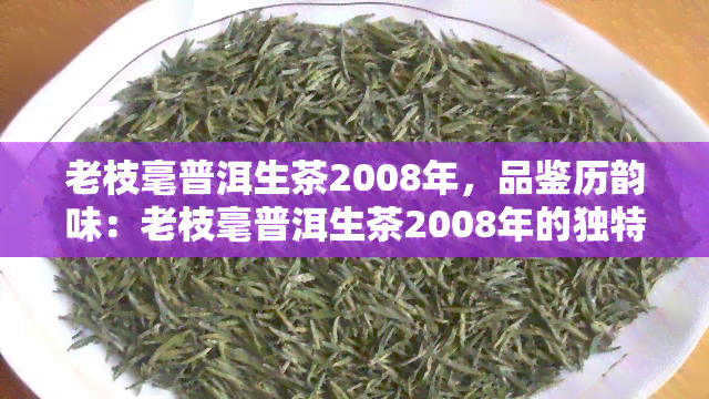 老枝毫普洱生茶2008年，品鉴历韵味：老枝毫普洱生茶2008年的独特魅力