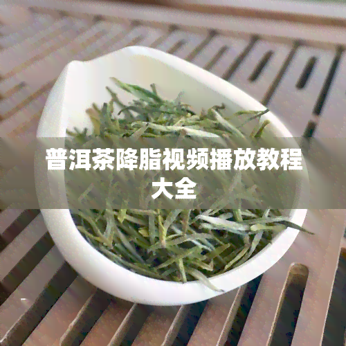 普洱茶降脂视频播放教程大全