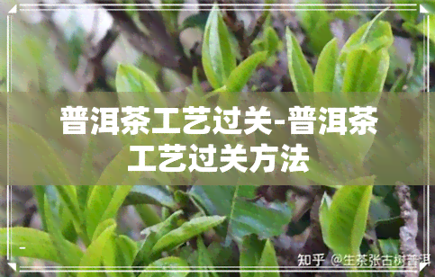 普洱茶工艺过关-普洱茶工艺过关方法