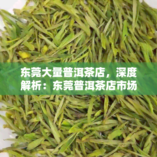 东莞大量普洱茶店，深度解析：东莞普洱茶店市场繁荣，消费者如何挑选？