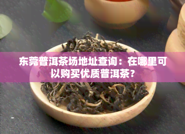 东莞普洱茶场地址查询：在哪里可以购买优质普洱茶？