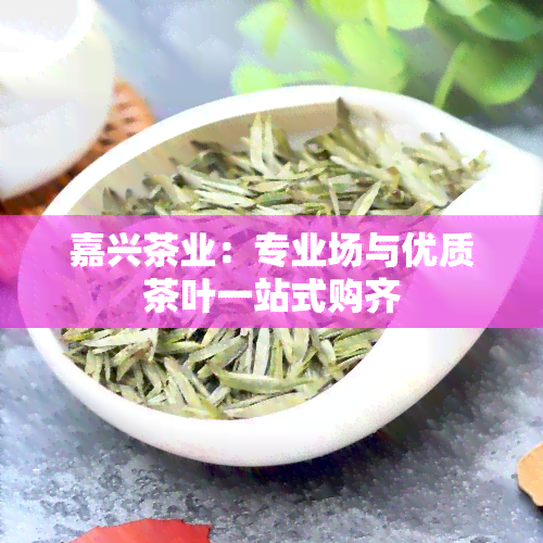 嘉兴茶业：专业场与优质茶叶一站式购齐