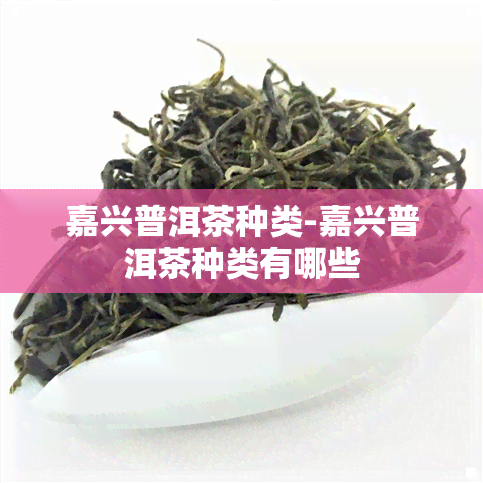 嘉兴普洱茶种类-嘉兴普洱茶种类有哪些