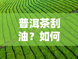 普洱茶刮油？如何正确饮用普洱茶以达到效果？