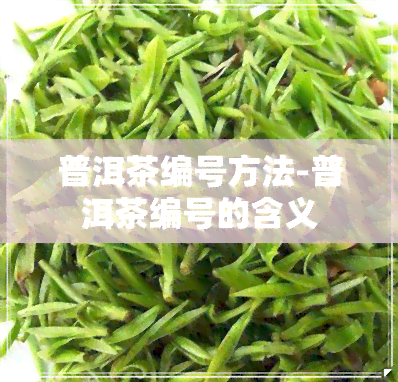 普洱茶编号方法-普洱茶编号的含义