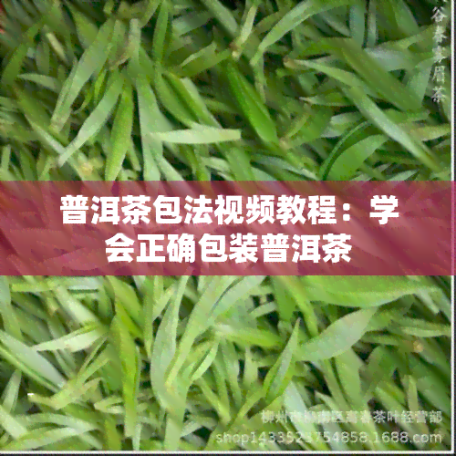 普洱茶包法视频教程：学会正确包装普洱茶