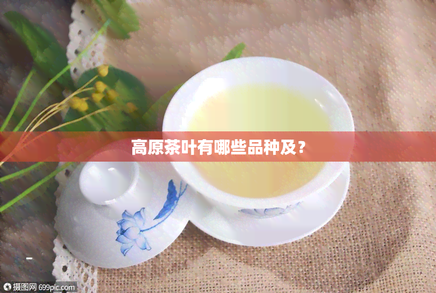 高原茶叶有哪些品种及？