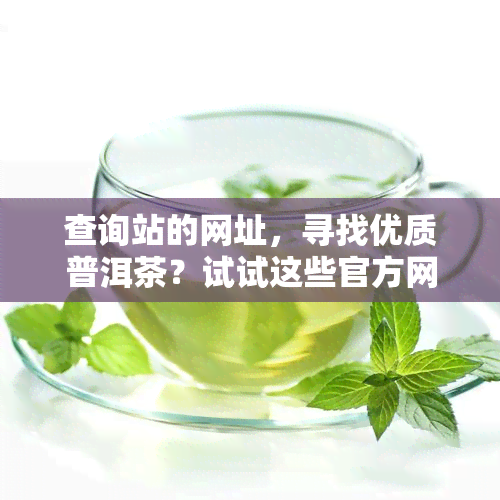 查询站的网址，寻找优质普洱茶？试试这些官方网站！