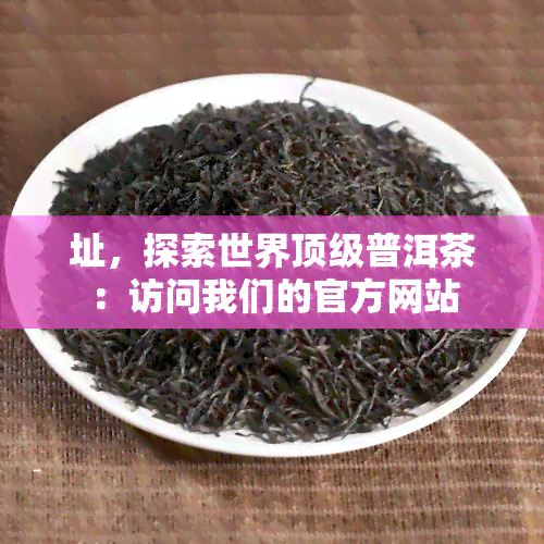 址，探索世界顶级普洱茶：访问我们的官方网站