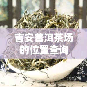 吉安普洱茶场的位置查询