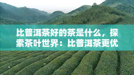 比普洱茶好的茶是什么，探索茶叶世界：比普洱茶更优秀的茶叶种类