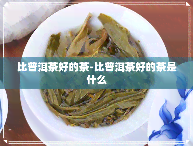 比普洱茶好的茶-比普洱茶好的茶是什么