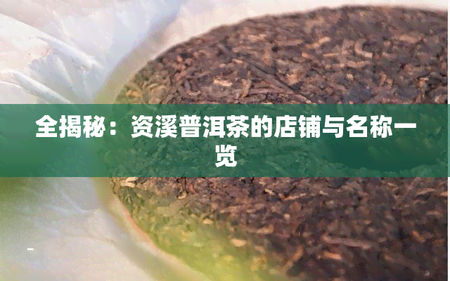 全揭秘：资溪普洱茶的店铺与名称一览