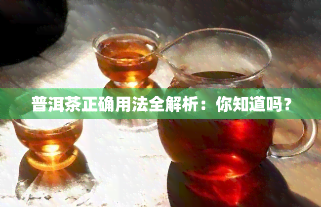 普洱茶正确用法全解析：你知道吗？