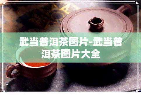 武当普洱茶图片-武当普洱茶图片大全