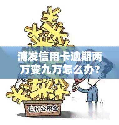 浦发信用卡逾期两万变九万怎么办？该如何处理这种情况？