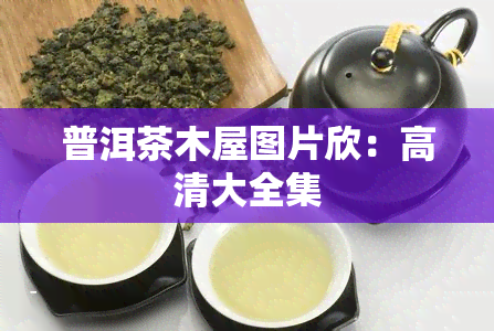 普洱茶木屋图片欣：高清大全集