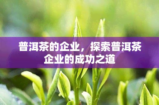 普洱茶的企业，探索普洱茶企业的成功之道