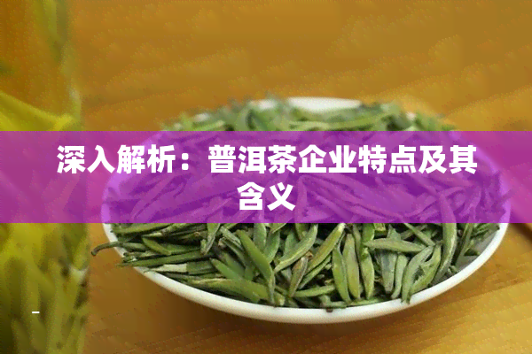 深入解析：普洱茶企业特点及其含义