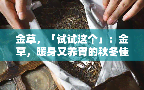 金草，「试试这个」：金草，暖身又养胃的秋冬佳饮