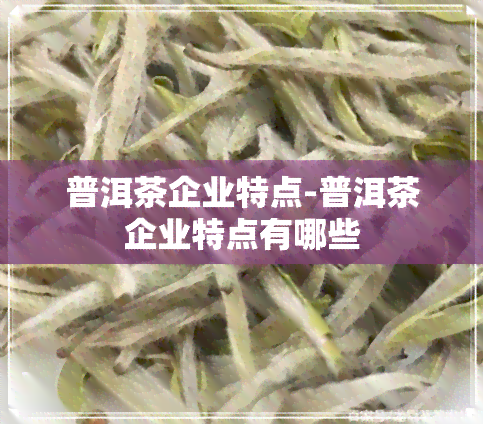 普洱茶企业特点-普洱茶企业特点有哪些