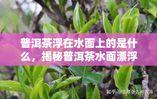 普洱茶浮在水面上的是什么，揭秘普洱茶水面漂浮物：是什么让它与众不同？