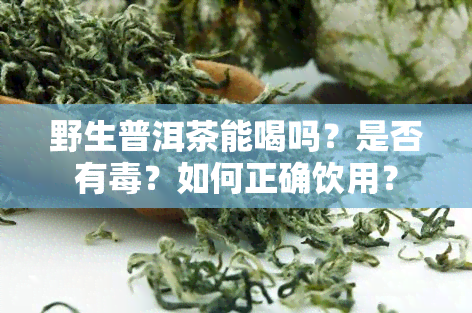 野生普洱茶能喝吗？是否有？如何正确饮用？