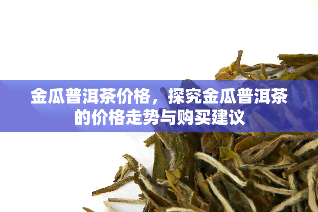 金瓜普洱茶价格，探究金瓜普洱茶的价格走势与购买建议