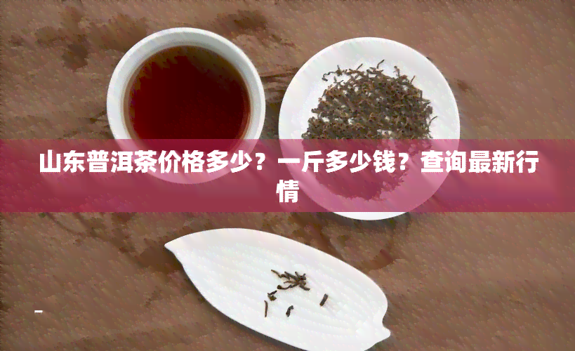 山东普洱茶价格多少？一斤多少钱？查询最新行情