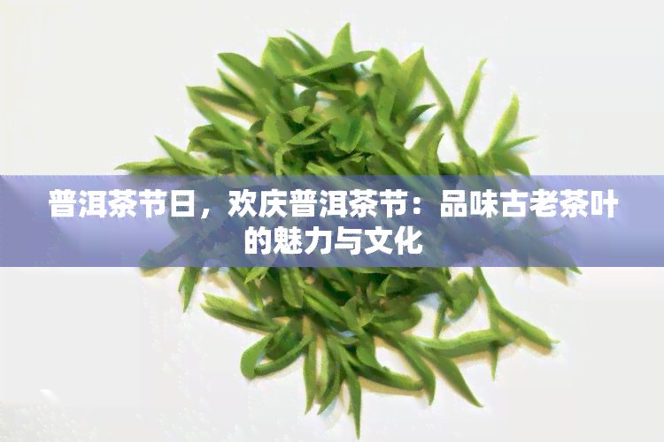 普洱茶节日，欢庆普洱茶节：品味古老茶叶的魅力与文化